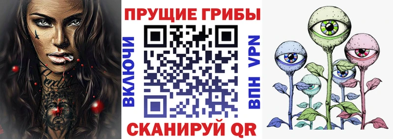 Псилоцибиновые грибы мицелий  Пушкино 